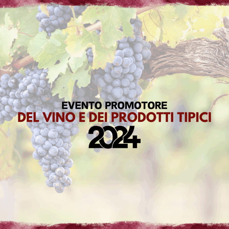 uva, testo vino, vigneto