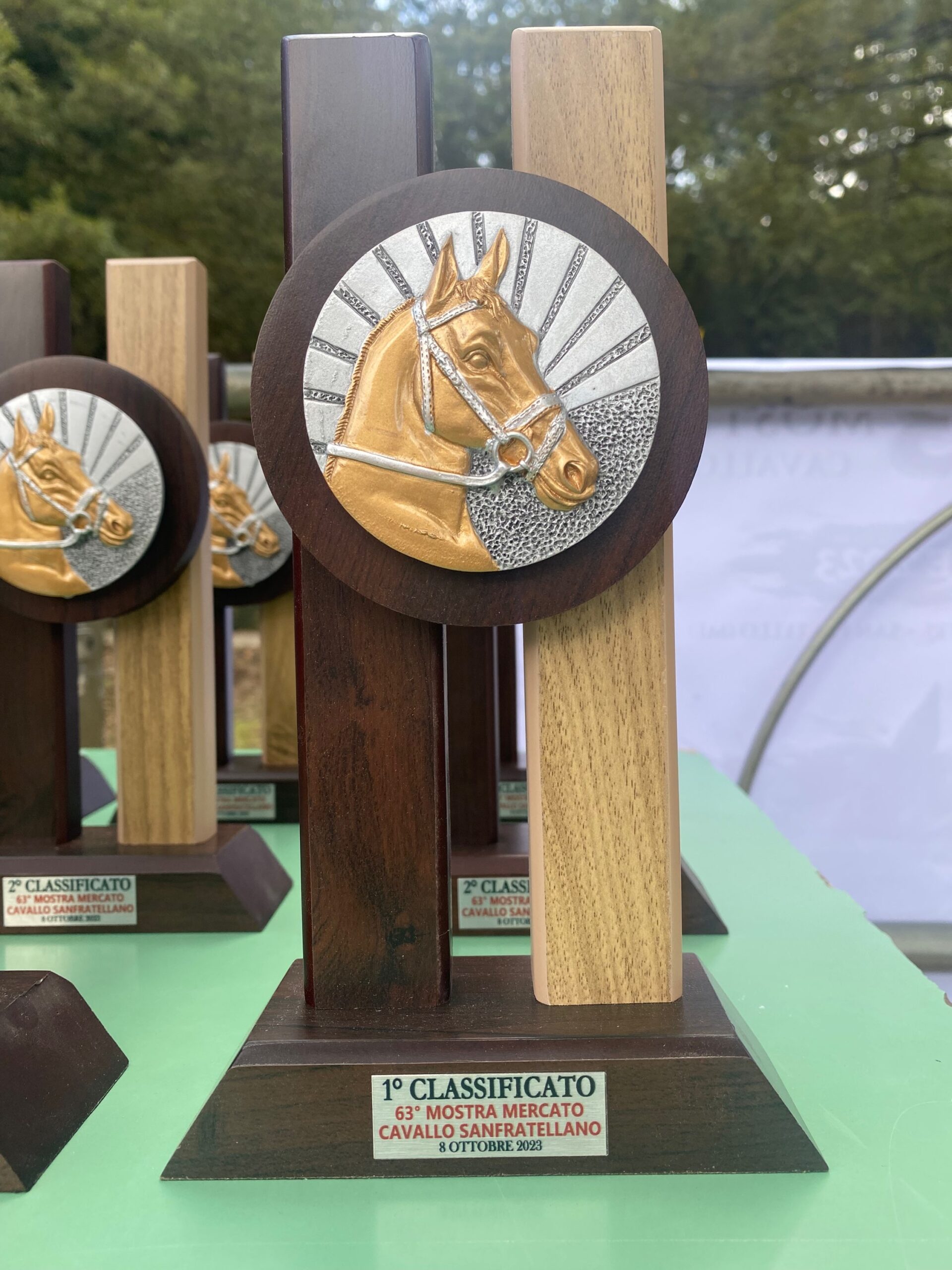 trofeo di legno che raffigura un cavallo colorato giallo